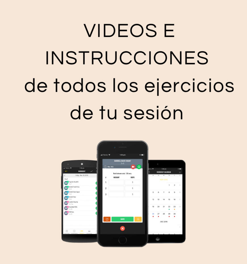 Instrucciones